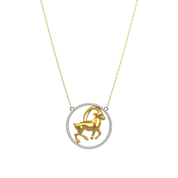 Capricorn Zodiac Necklace - FSPN001SHCA