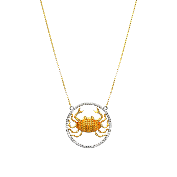 Cancer Zodiac Necklace - FSPN001SHCI